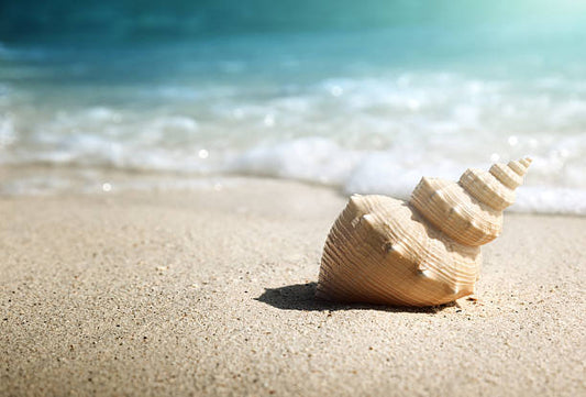 Beach Time with Hearing Aids